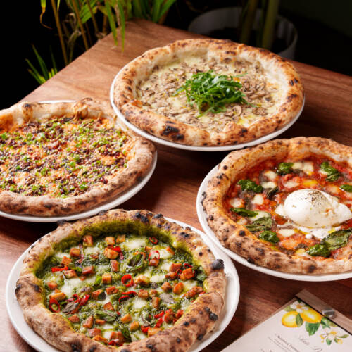 Classic Chocochip Cookies